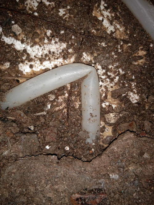 文县堵点精准查找